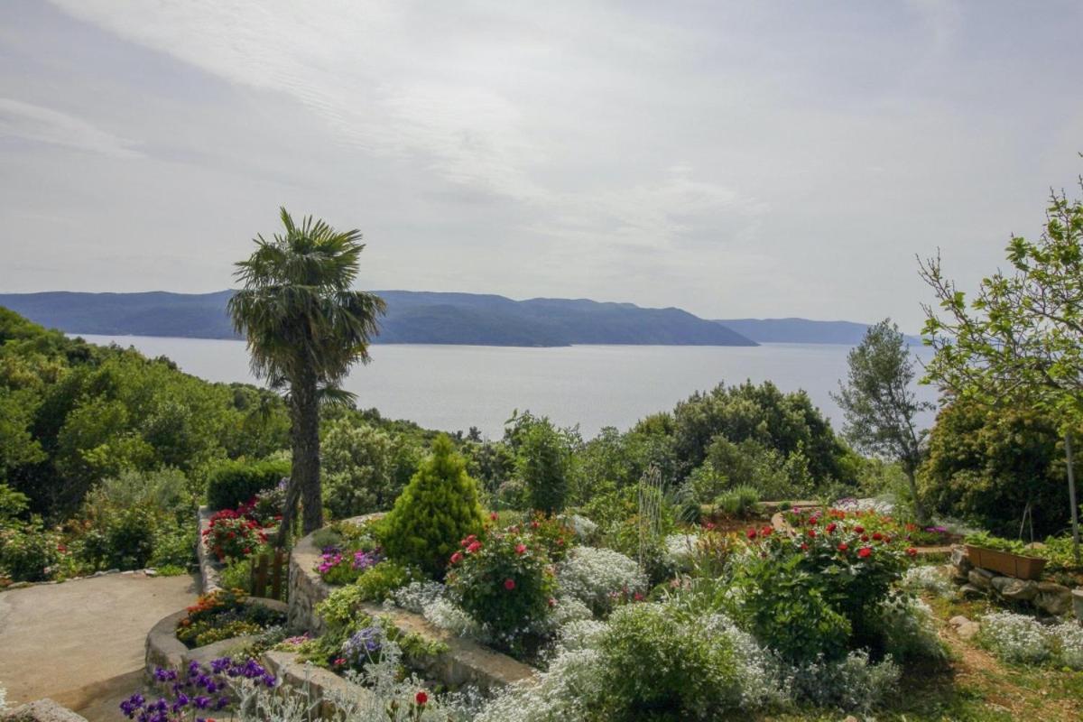 Villa Paradiso In Plomin - Istrien Zewnętrze zdjęcie